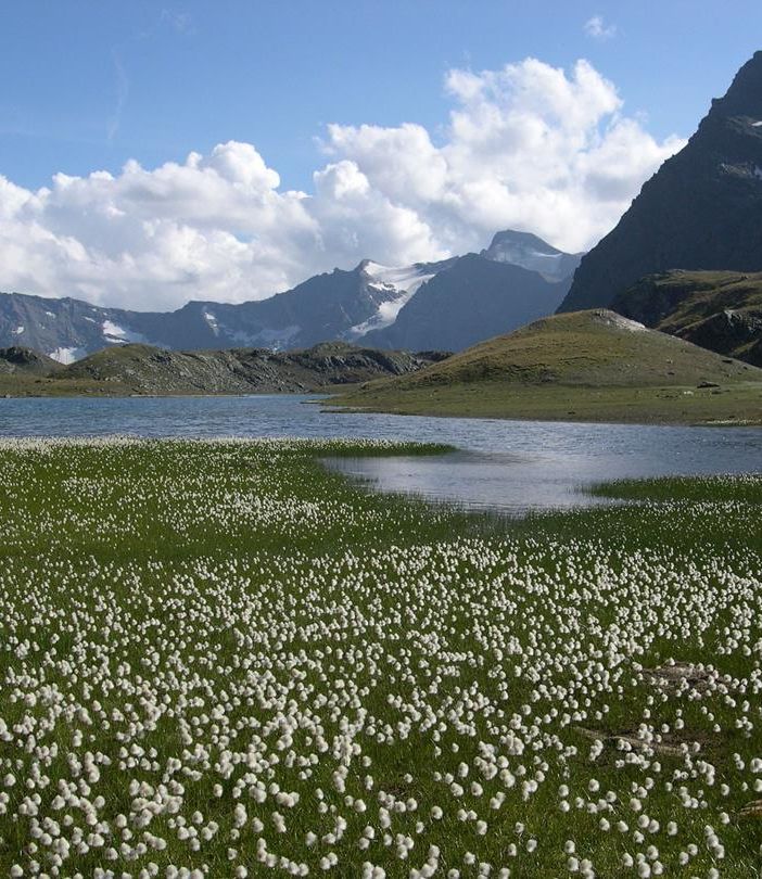 Bruno Jocallaz nuovo vice presidente del Parco Nazionale Gran Paradiso