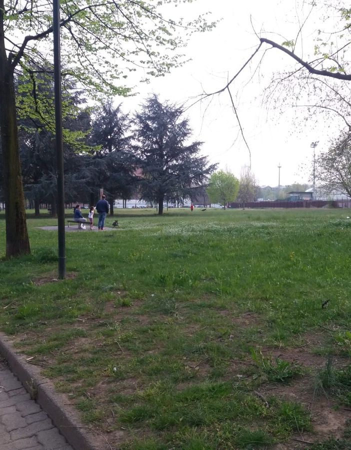 Aperto il concorso &quot;Panchine in musica&quot; per decorare le sedute del parco Palatucci