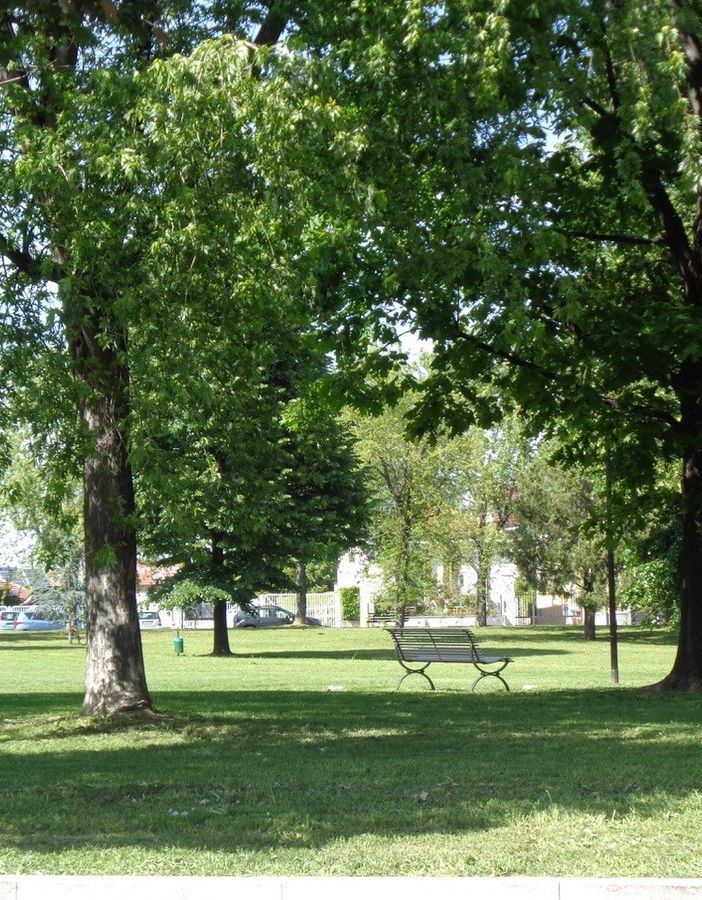 parco pineta grugliasco