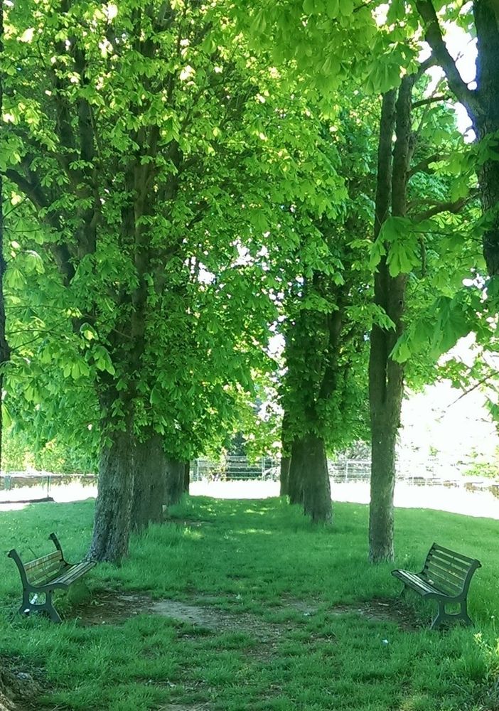 parco Robinson