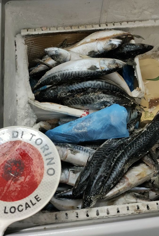 pesce e cibo mal conservato