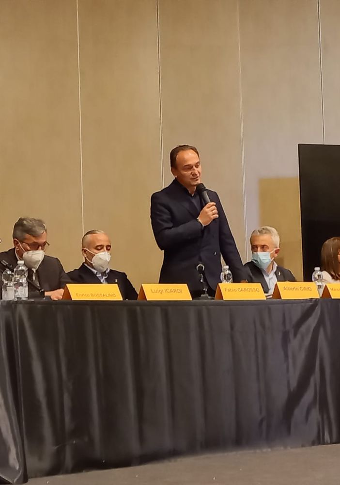 Peste suina africana, approvato il piano regionale