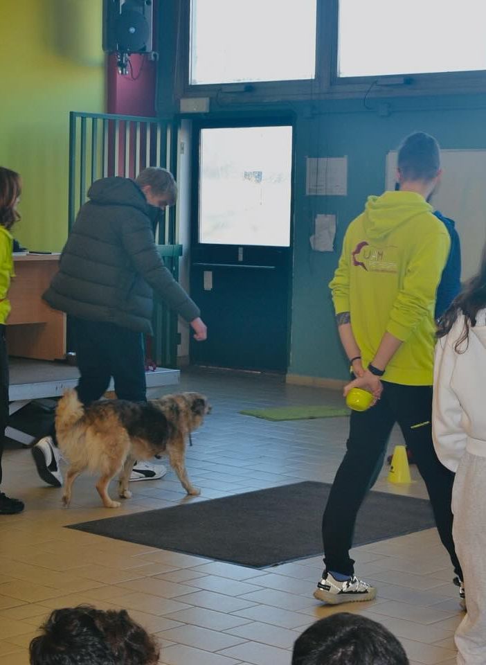 'Mi Fido di te': la pet therapy arriva nelle scuole superiori di Nichelino