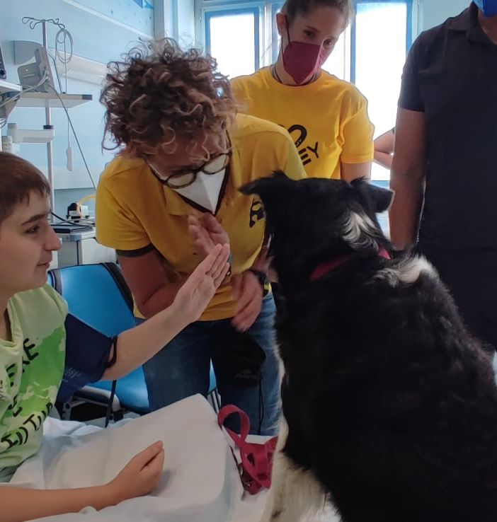 pet therapy