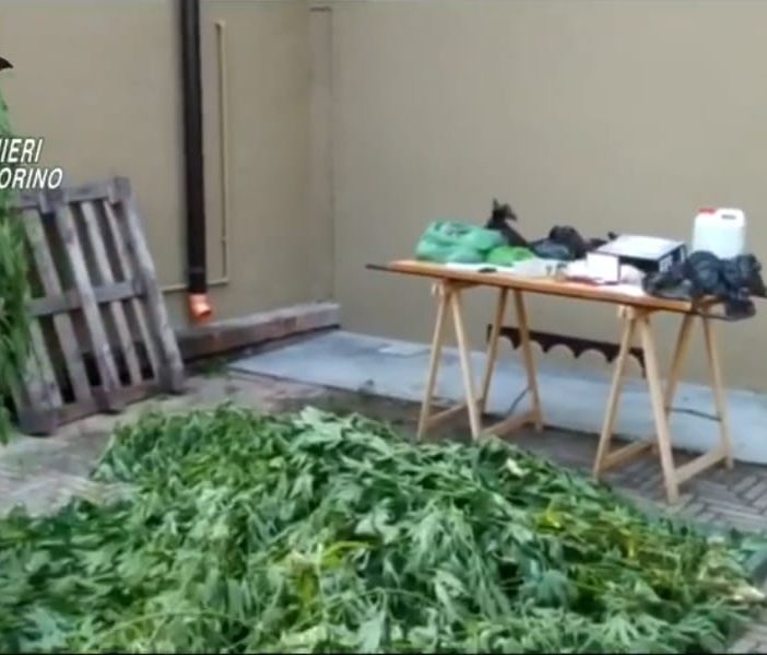 Pensionato si ricicla come spacciatore: in casa nascondeva marijuana e una piccola coltivazione di cannabis [VIDEO]