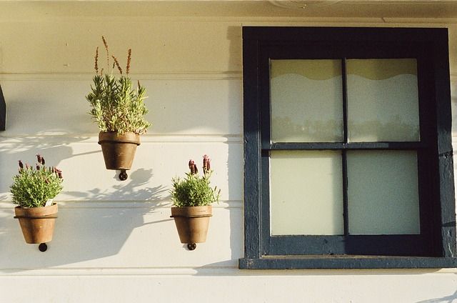 &quot;Coltivare aria buona&quot; alla Casa dell'Ambiente
