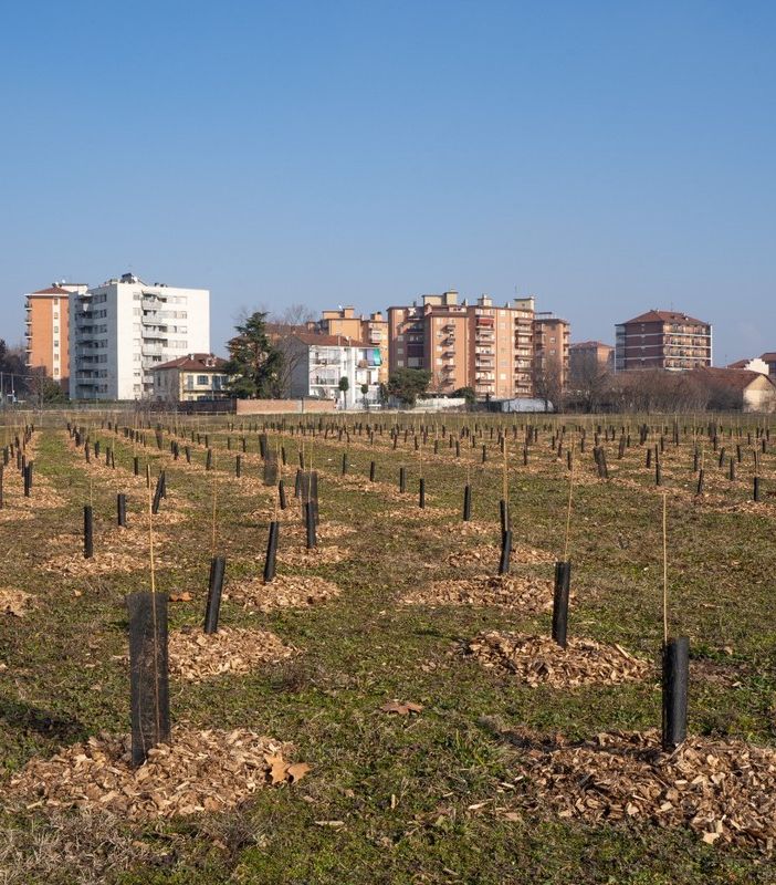 Un'iniziativa per contribuire all'incremento e alla cura del verde cittadino