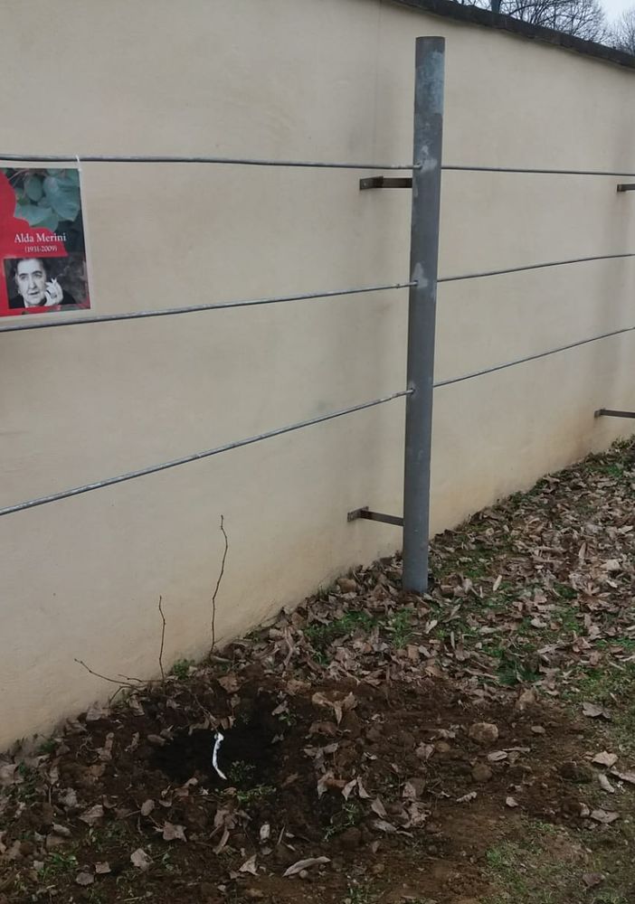 Piantumazione dei roseti al Mausoleo della Bela Rosin