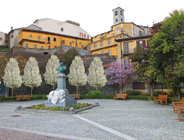 Saranno sostituiti i pioppi di piazza Perrone a Ivrea