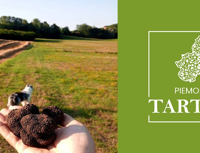 Nasce Piemonte tartufi, il portale per gli amanti del tartufo 2.0