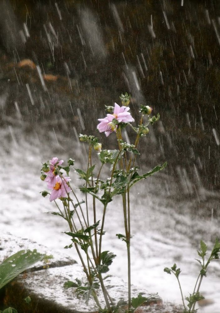Primi giorni di  primavera all'insegna del peggioramento delle condizioni meteorologiche