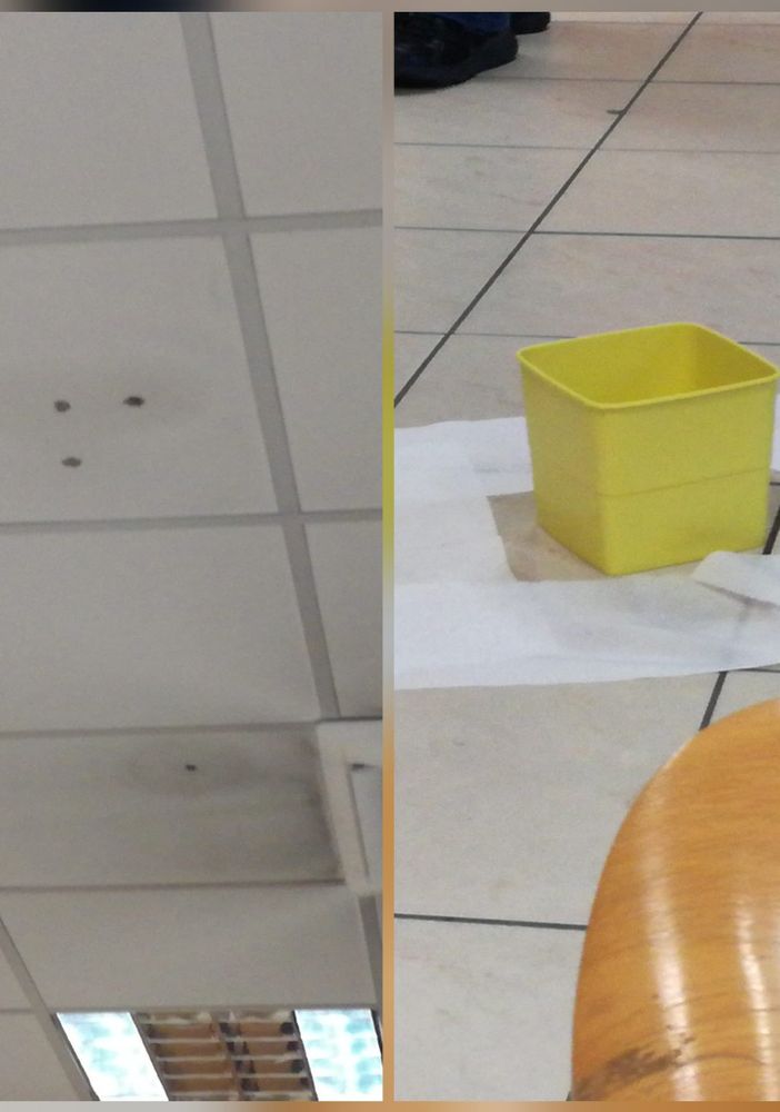 gocciola dentro un secchio