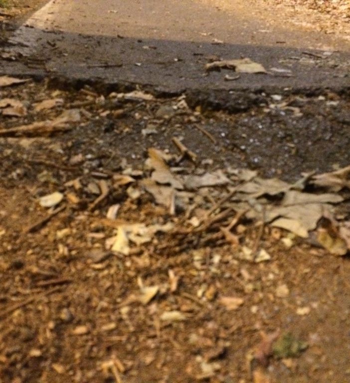 Ciclisti costretti a peripezie alla Indiana Jones (fotogallery)