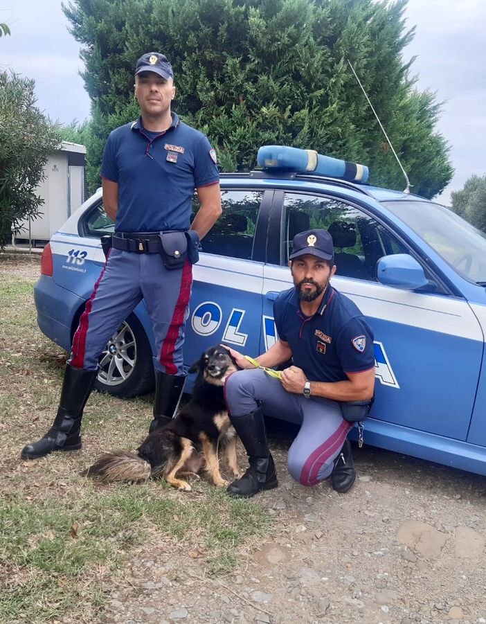 #Senontiportononparto: la Polizia contro l'abbandono degli animali