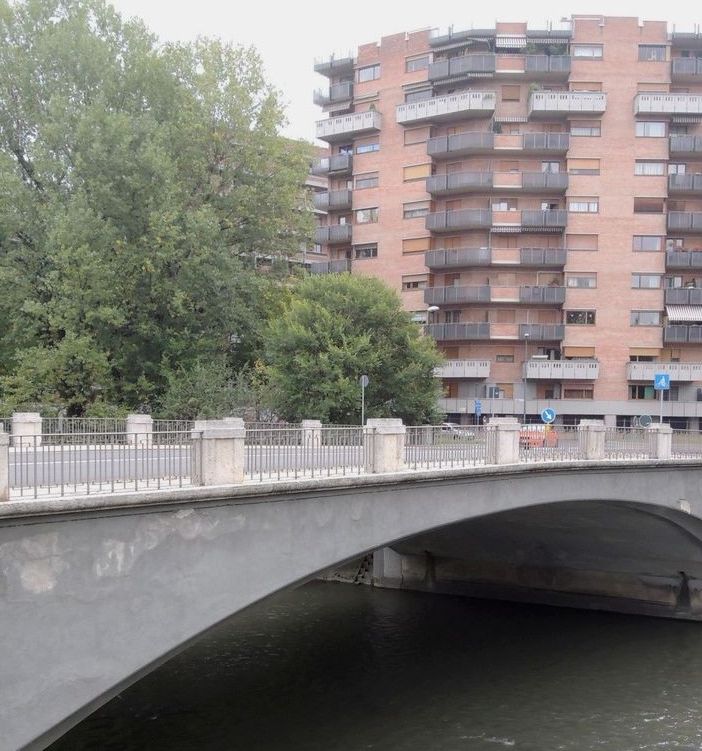 Il Ponte Washington di Torino
