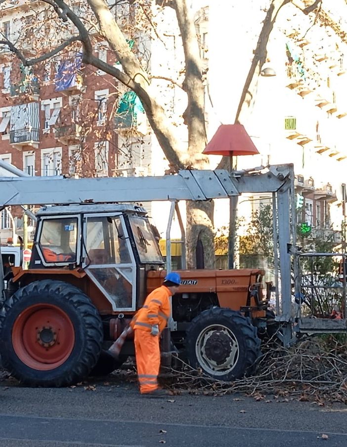 Largo Giulio Cesare tra spaccio e scarsa illuminazione: al via le potature degli alberi