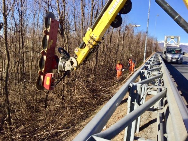 Piemonte, Anas: avviata la potatura delle alberature lungo il raccordo Torino-Caselle