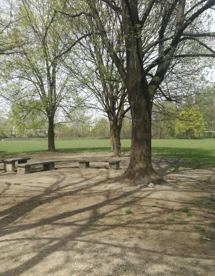 giardini e parchi di Torino