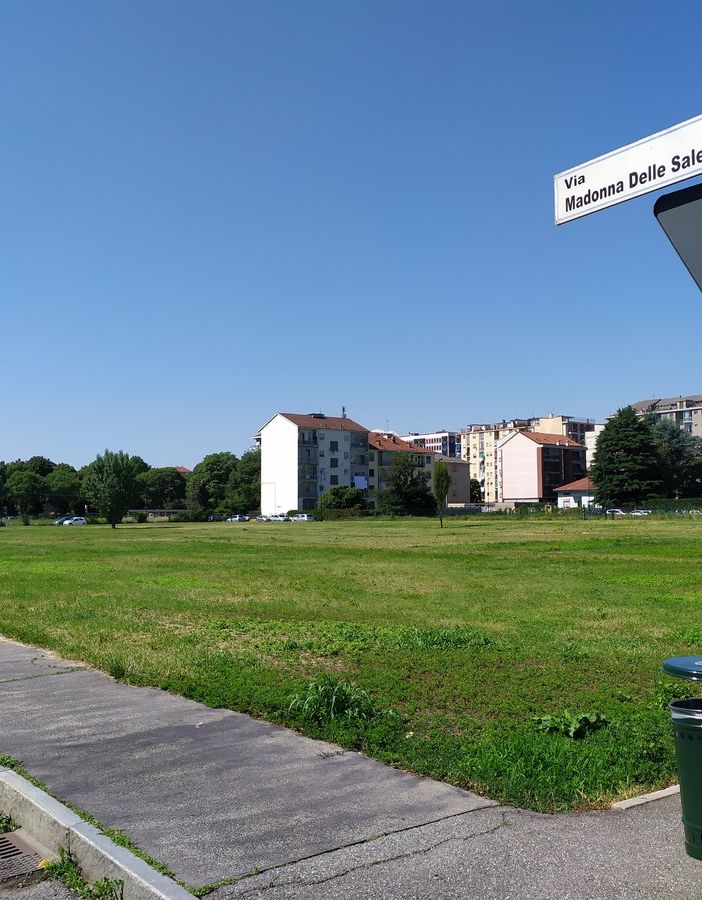 prato verde con cielo azzurro