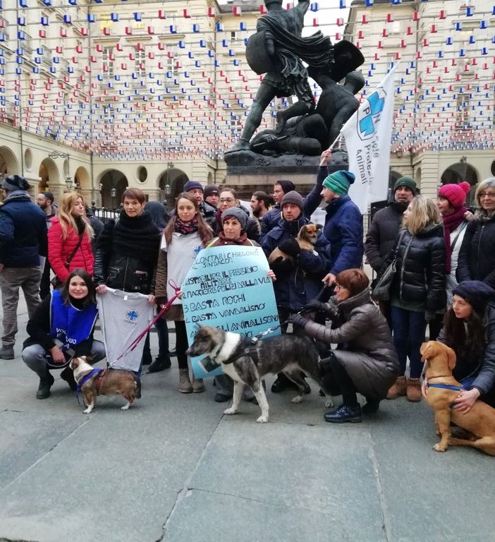 Canile Enpa di via Germagnano, la protesta arriva sotto il Comune di Torino: &quot;Rivogliamo i militari&quot;