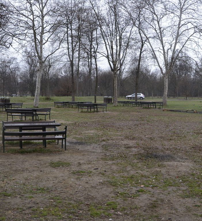 parco del boschetto - immagine di repertorio