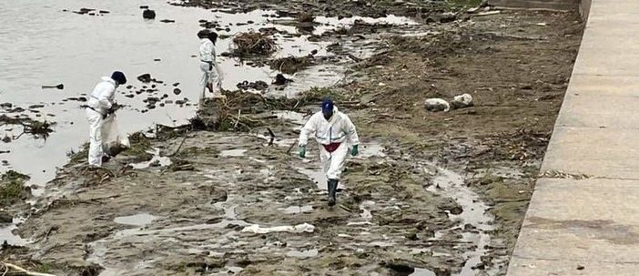 &quot;Trashchallenge – Operazione Po”, sabato un'iniziativa di ripulitura speciale delle sponde del fiume