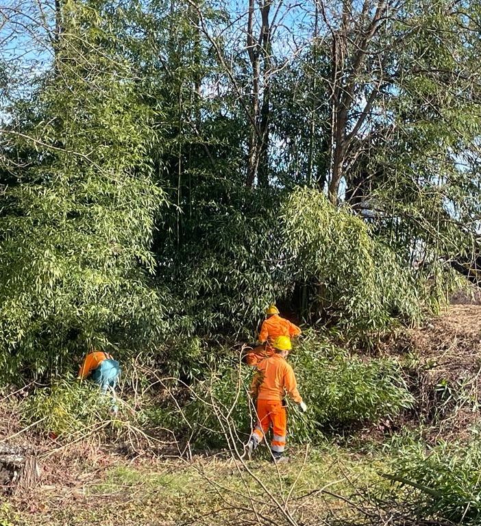 lavori di pulizia al Villaretto