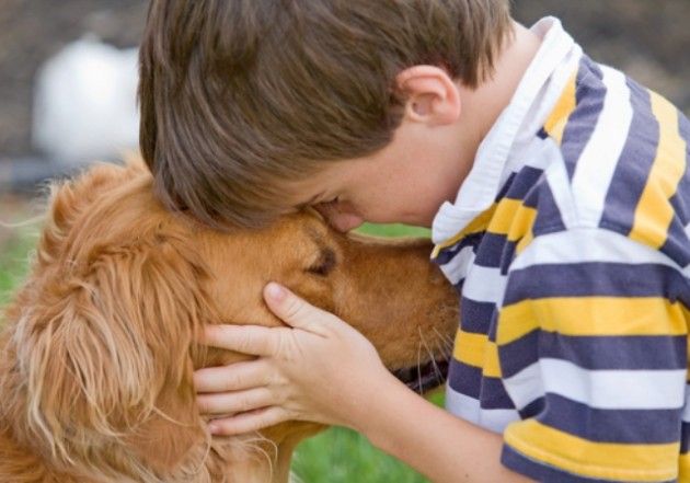 &quot;Qua la zampa!&quot;, la nuova attività di dog-therapy lanciata dalla Casa del Teatro Ragazzi e Giovani