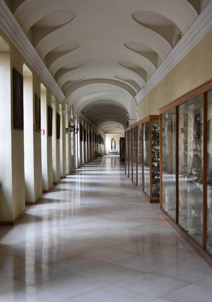 sale del real collegio carlo alberto