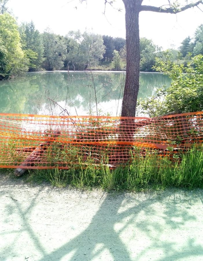 La recinzione temporanea del lago piccolo del Parco Carrara è pericolante. Unia: &quot;La ripareremo&quot;