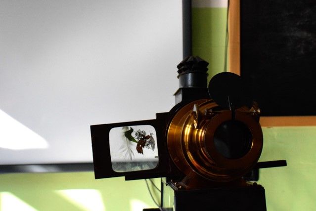 Esercizi sul pre-cinema: mercoledì la presentazione dei progetti degli studenti delle scuole Tommaseo Calvino e Verdi