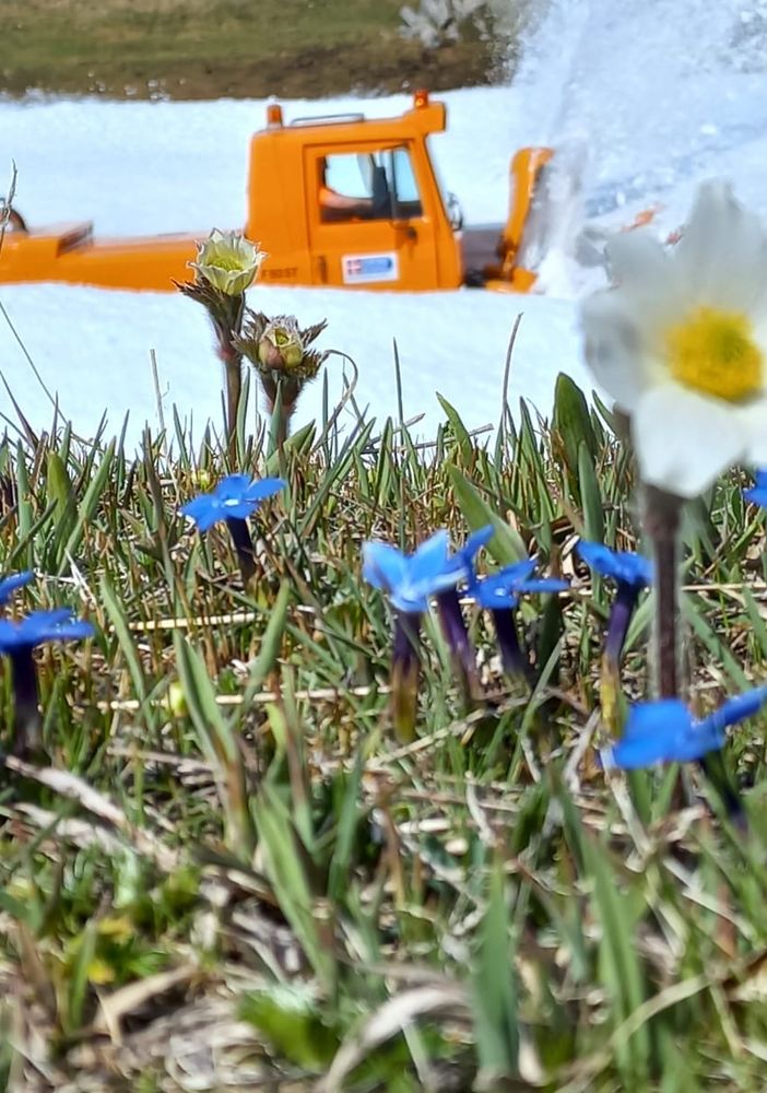 Da domani riapertura totale per la strada provinciale 50 del Colle del Nivolet