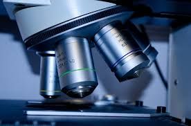 Svolta nella diagnosi del tumore prostatico grazie ad UniTO