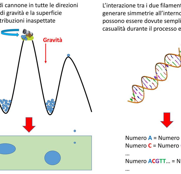 Una ricerca dell'Università degli Studi di Torino aiuta a svelare i segreti del DNA