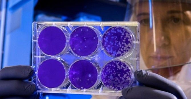Premio Nazionale Innovazione: ci sono tre piemontesi tra le migliori 16 arrivate in finale