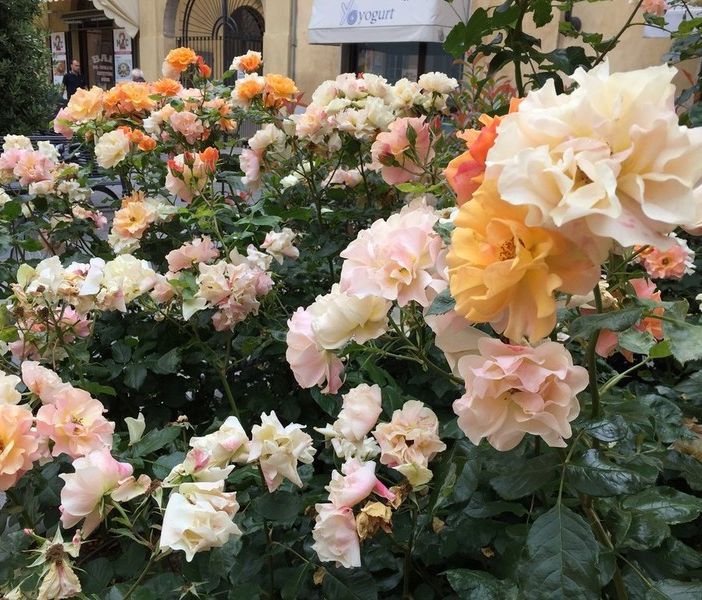 E' il 13 maggio: Buona Festa della mamma!