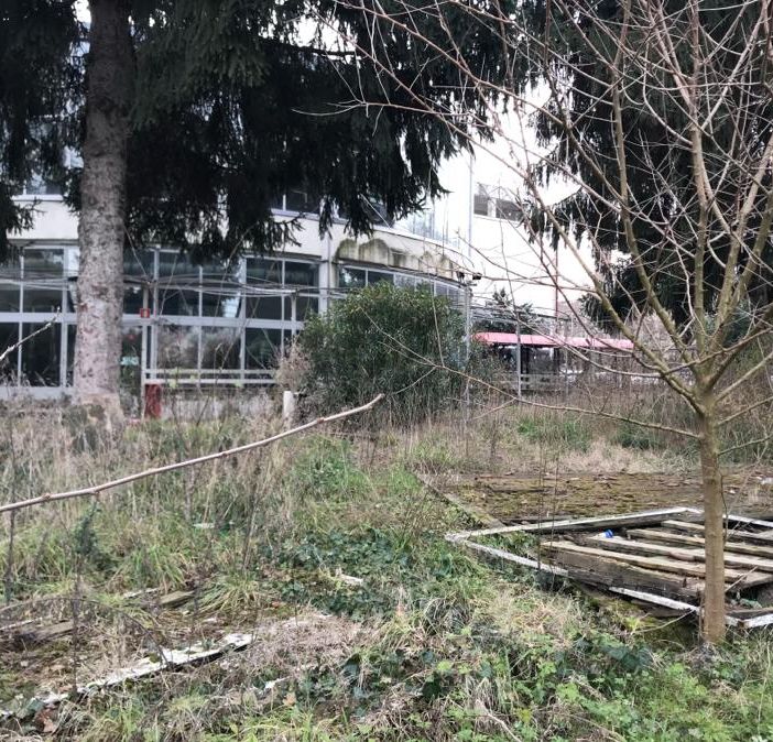 Assegnata la Rotonda del Valentino:&quot;Sarà un locale di spettacolo, con una forte vocazione alla ristorazione&quot;