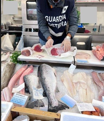 Controlli sul pescato in vendita anche fuori regione per la Guardia Costiera savonese: sanzioni per oltre 4mila euro nel torinese