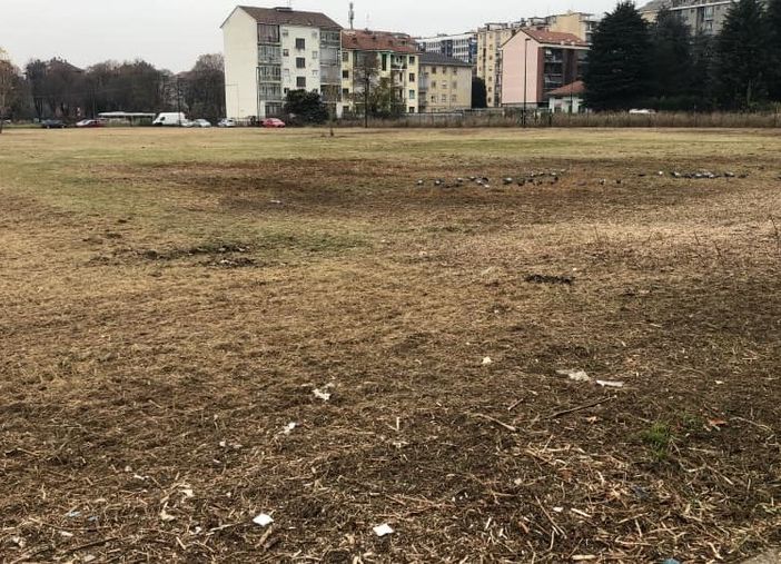 La proposta di Carretto per conservare il prato di Parella: &quot;Percorso partecipato come per via Revello&quot;