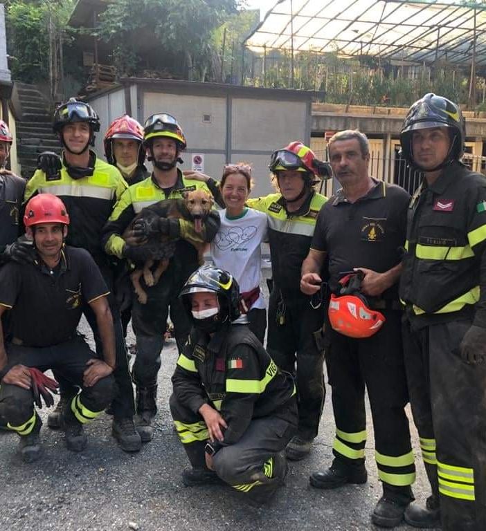 cane salvato dai pompieri