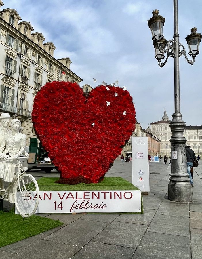 Sempre meno rose: a San Valentino i torinesi prediligono ranuncoli e gipsofila