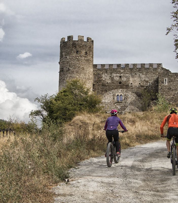 persone in bicicletta in un percorso di montagna