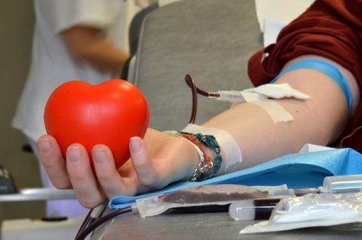 Gli ospedali di Torino lanciano l'allarme: &quot;Manca sangue, donate&quot;