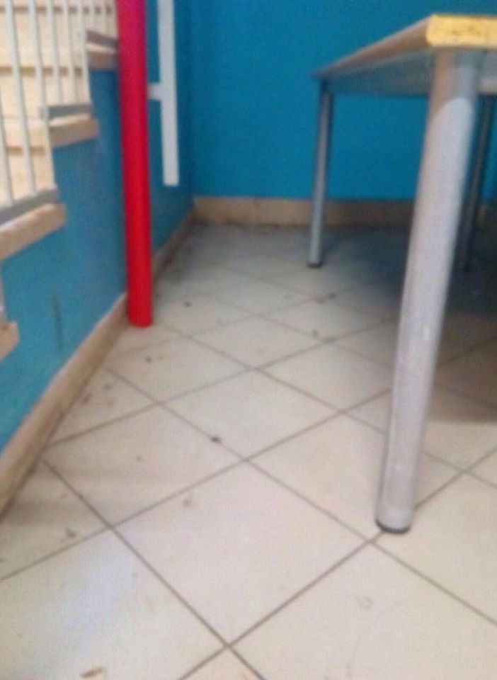 Rientro tra i banchi con sorpresa: in mensa c'erano gli scarafaggi. &quot;Ma il servizio non era ancora attivo&quot;