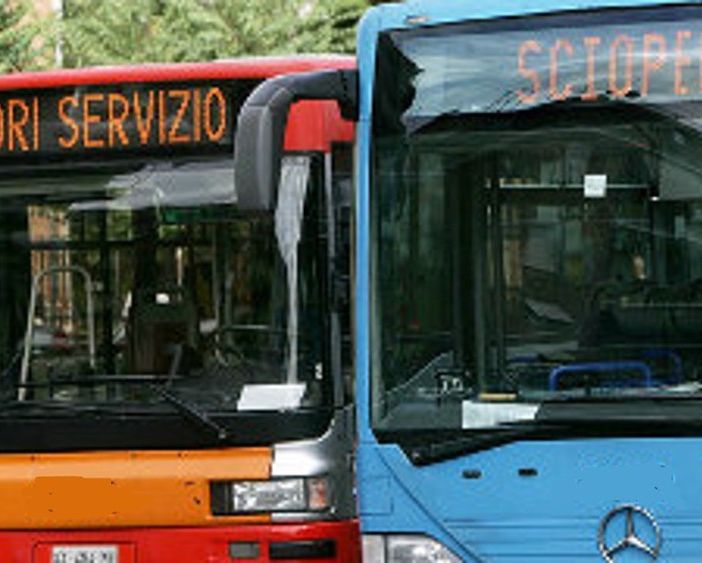 bus