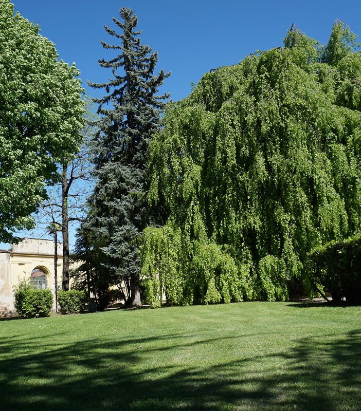 Una giornata dedicata allo spazio in Villa Lascaris a Pianezza