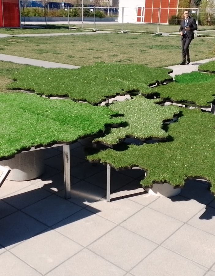 Una scultura verde per un Piemonte unito nelle differenze: ecco il dono della scuola San Carlo alla Regione