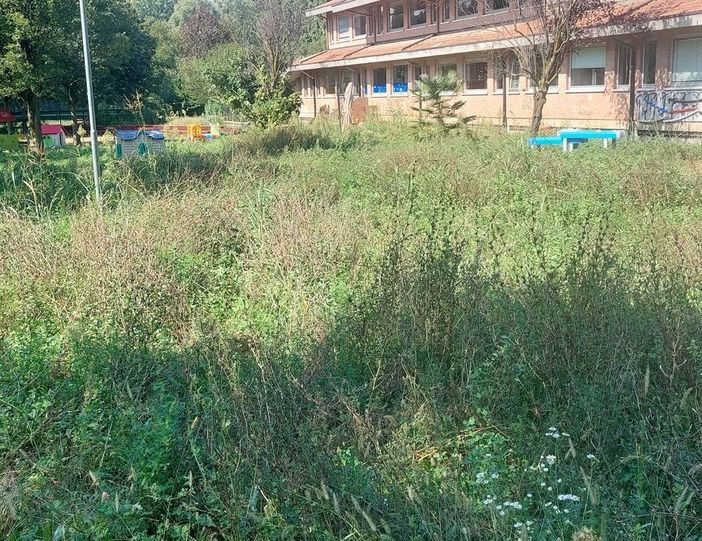 cortile scuola boncompagni