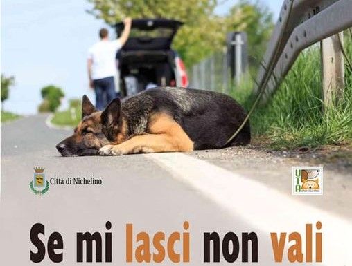 Nichelino contro l'abbandono degli animali