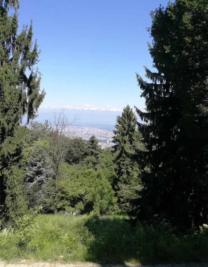 Sentieri collinari più accessibili e curati: la richiesta per farli rientrare nel Piano Regolatore [FOTO]